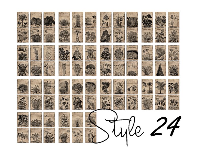 May include: A collection of 48 vintage botanical illustrations, each featuring a different plant or flower. The illustrations are in black and white and have a distressed, antique look. The images are arranged in a grid pattern and are labeled with the name of the plant or flower. The text "Style 24" is written in black cursive at the bottom of the image.
