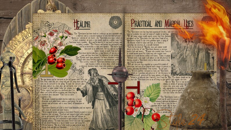 Puede incluir: Un libro abierto con una est&eacute;tica vintage, que presenta ilustraciones de flores y bayas de espino blanco. La p&aacute;gina izquierda est&aacute; titulada "Curaci&oacute;n" y la p&aacute;gina derecha est&aacute; titulada "Usos pr&aacute;cticos y m&aacute;gicos". El texto describe las propiedades medicinales y m&aacute;gicas del espino blanco.