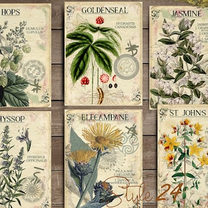 Vol 3 Herbal Index, Double Sided Scrapbook Ephemera 3x4 Journaling Cards, Digital Collage,printable Apothecary, Medicinal Herbal, Herbarium image 3