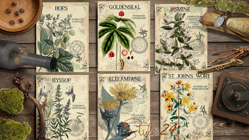 Vol 3 Herbal Index, Double Sided Scrapbook Ephemera 3x4 Journaling Cards, Digital Collage,printable Apothecary, Medicinal Herbal, Herbarium image 3