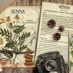 Vol 5 Herbal Index, Double Sided Scrapbook Ephemera 3x4 Journaling Cards, Digital Collage,printable Apothecary, Medicinal Herbal, Herbarium image 7
