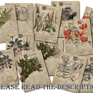 Grimoire Herbal Pages No.13, Witchcraft, Printable Book of Shadows, BOS, Digital Download of Plants, Spell, Herb Profiles, Green Witch