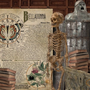 May include: A vintage illustration of the poisonous plant Belladonna, with a skeletal figure standing beside it. The illustration is surrounded by old books and a candle, creating a dark and mysterious atmosphere.