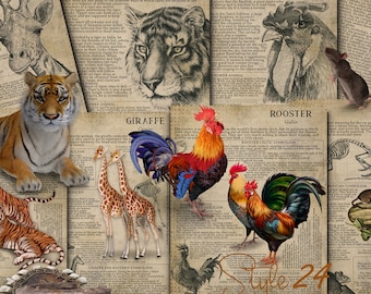 Printable Animal Symbiology 9, Book of Shadows - Spirit Animal, Totem Animal, Power Animal, Celtic Symbolism, Mythology, Folklore, BOS, DIY