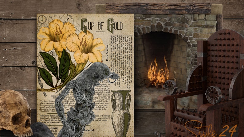 May include: A vintage illustration of a yellow flower with the text "Cup of Gold" and a description of the plant. The image is set against a rustic wooden background with a fireplace and a medieval-style chair with spikes.