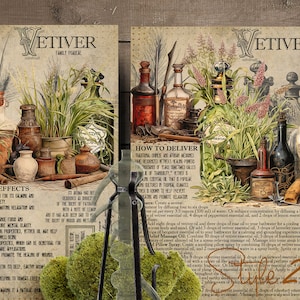 Vetiver Essential Oil