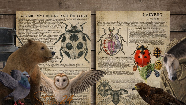 May include: Two vintage-style posters with illustrations of ladybugs and other animals. One poster details ladybug mythology and folklore, while the other discusses ladybug symbolism. The image includes a bear, owl, pigeon, horse, and eagle.