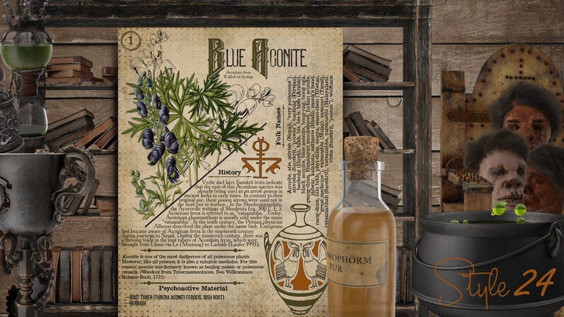 May include: A vintage style illustration of a blue aconite plant with text about its history, folk names, and psychoactive material. The illustration is on a parchment-like background with a decorative border. The text includes the words "Blue Aconite", "History", "Folk Names", and "Psychoactive Material".