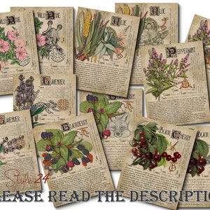 Grimoire Herbal Pages No.1, Witchcraft, Printable Book of Shadows, BOS, Digital Download of Plants, Spell Ingredient, Green Witch, Herbarium