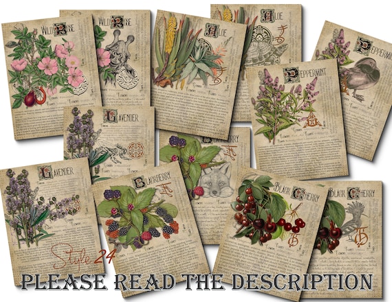 Grimoire Herbal Pages No.1 Witchcraft Printable Book of - Etsy