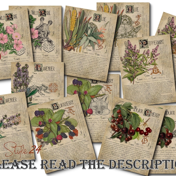 Grimoire Herbal Pages No.1, Witchcraft, Printable Book of Shadows, BOS, Digital Download of Plants, Spell Ingredient, Green Witch, Herbarium
