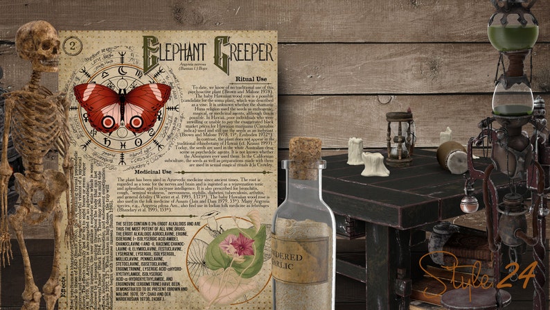 May include: A vintage style illustration of a butterfly with red wings and a black body, surrounded by a circle of runes. The illustration is on a piece of paper with text about the Elephant Creeper plant, including its medicinal and ritual uses. The text includes the words "Ritual Use" and "Medicinal Use".