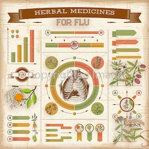 Etiquetas de boticario de hierbas medicinales con etiquetas de medicamentos imprimibles con información gráfica Etiquetas para la gripe Descarga instantánea digital imprimible