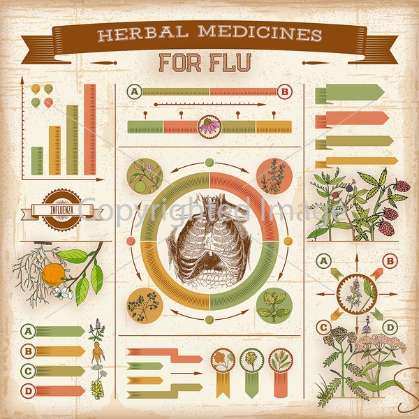 Medicinal Herbal Apothecary Labels with Info-graphic printable Medicines Labels Tags For Flu Influenza instant download printable digital