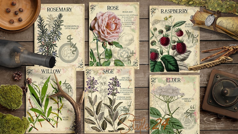 Vol 5 Herbal Index, Double Sided Scrapbook Ephemera 3x4 Journaling Cards, Digital Collage,printable Apothecary, Medicinal Herbal, Herbarium image 3