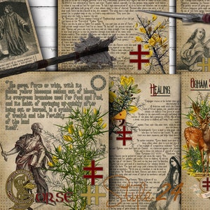 Könnte beinhalten: Sechs Seiten im Vintage-Stil mit Text und Illustrationen über die Pflanze Ginster. Die Seiten zeigen ein Kreuzsymbol, ein Reh, einen Vogel und eine Person in einer Robe. Der Text enthält die Wörter "Tree Lore", "Gorse", "Healing" und "Ogham Divination Meaning".