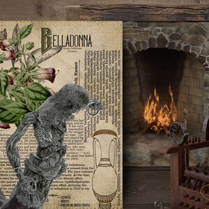May include: A vintage illustration of the poisonous plant Belladonna, with a skull, a dark, twisted branch, and a medieval torture chair in the background. The illustration is on a page with text about the plant's history and uses.