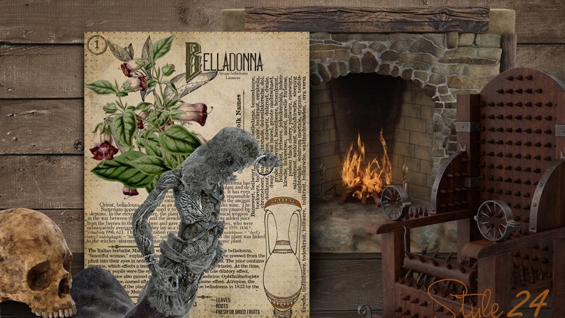 May include: A vintage illustration of the poisonous plant Belladonna, with a skull, a dark, twisted branch, and a medieval torture chair in the background. The illustration is on a page with text about the plant's history and uses.