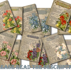 Páginas de feitiços de cura para impressão, Livro das Sombras, Download digital, Junk Journal Kit, Bruxaria, Livro de feitiços, BOS, Baby Witch, Pacote, DIY