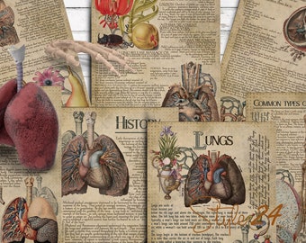 Human Lungs Anatomy Printable: Vintage Green Witch BOS Pages (Digital Download)
