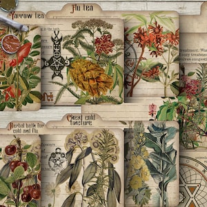 Cartes de recettes de sorcière, toux, rhume et grippe série Livre des ombres, sorcellerie, imprimable Grimoire à base de plantes en téléchargement numérique Scrapbooking Style vintage