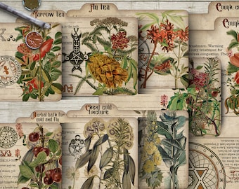 Hexe Rezeptkarten, Husten, Erkältung & Flur Buch der Schatten, Hexerei, druckbare Grimoire Kräuter digitaler Download Vintage-Stil Sammelalbum