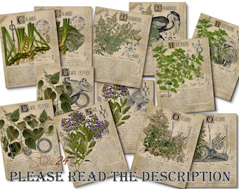 May include: A set of 10 vintage botanical illustrations featuring various herbs and plants. Each illustration includes the name of the herb, a drawing of the plant, and a description of its properties. The illustrations are printed on a parchment-like background.