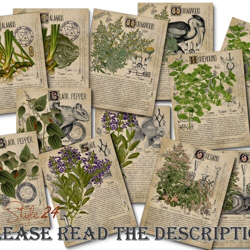 Grimoire Herbal Pages No.1 Witchcraft Printable Book of | Etsy Australia