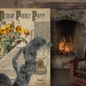May include: A vintage botanical illustration of a Mexican prickly poppy flower, with a skull, a skeletal hand, and a fireplace with flames in the background. The illustration includes the text "Mexican Prickly Poppy".