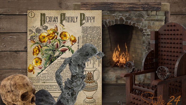 May include: A vintage botanical illustration of a Mexican prickly poppy flower, with a skull, a skeletal hand, and a fireplace with flames in the background. The illustration includes the text "Mexican Prickly Poppy".