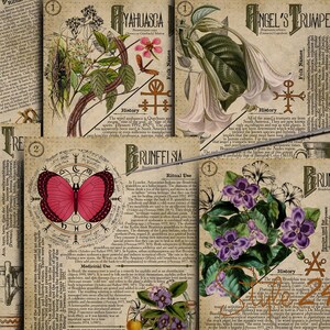 No 3, Book of Shadows, Printable pages of Ritual Poisonous Plants,Herbs, Witchcraft,Herbal, Grimoire BOS Sheets,Green Witch Scrolls of Venom