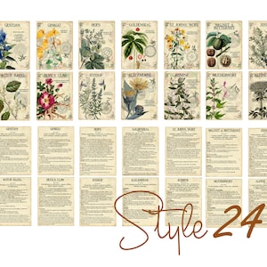 Vol 3 Herbal Index, Double Sided Scrapbook Ephemera 3x4 Journaling Cards, Digital Collage,printable Apothecary, Medicinal Herbal, Herbarium image 8