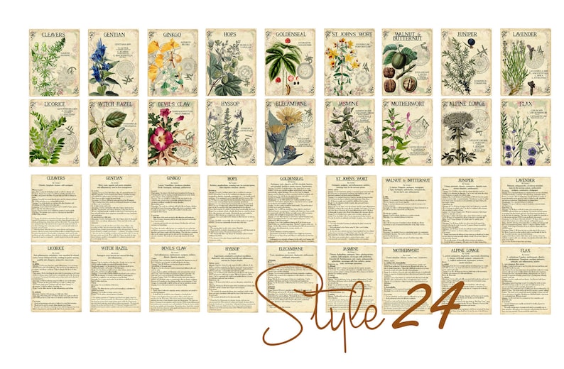 Vol 3 Herbal Index, Double Sided Scrapbook Ephemera 3x4 Journaling Cards, Digital Collage,printable Apothecary, Medicinal Herbal, Herbarium image 8