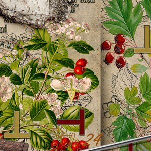 Puede incluir: Una ilustraci&oacute;n bot&aacute;nica vintage de un &aacute;rbol de espino blanco con bayas rojas y flores blancas. La ilustraci&oacute;n est&aacute; en una p&aacute;gina de un libro antiguo con texto sobre el espino blanco. El texto dice "El espino blanco se conoce como el &aacute;rbol de mayo y a menudo se le llama el "&aacute;rbol espinoso". El espino blanco es un &aacute;rbol peque&ntilde;o o un arbusto grande, nativo de Europa, el norte de &Aacute;frica y el oeste de Asia. Es miembro de la familia de las rosas. El espino blanco es una planta de seto popular y tambi&eacute;n se utiliza en la medicina tradicional. El espino blanco es un s&iacute;mbolo de esperanza, amor y protecci&oacute;n."