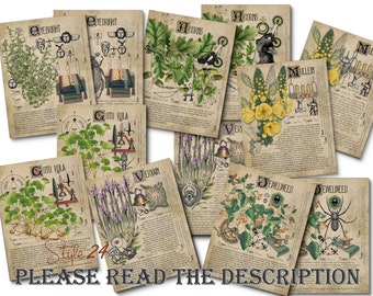 Grimoire Herbal Pages No.22 : Witchcraft Plant Profiles (Digital Download)