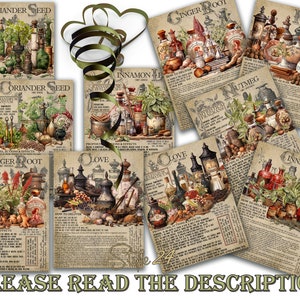 May include: Vintage style illustrations of various spices and herbs, including coriander seed, ginger root, cinnamon leaf, clove, and nutmeg. Each illustration features a collection of bottles, jars, and other containers filled with the spice or herb, along with text describing its properties and uses.