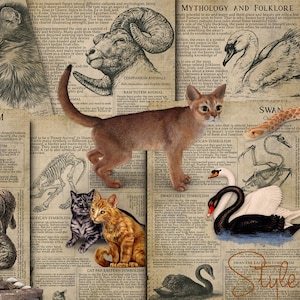 Simbiologia Animal para Impressão 6, Livro das Sombras - Espírito Animal, Animal Totem, Animal de Poder, Simbolismo Celta, Mitologia, Folclore, BOS, DIY