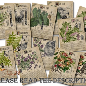 Grimoire Herbal Pages No.19, Witchcraft, Printable Book of Shadows, BOS, Digital Download of Plants, Spell, Herb Profiles, Green Witch
