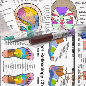 Puede incluir: Un conjunto de mapas de reflexolog&iacute;a que muestran las diferentes &aacute;reas del cuerpo que corresponden a puntos espec&iacute;ficos en los pies y las manos. Los mapas est&aacute;n impresos en papel blanco y presentan ilustraciones coloridas de los pies y las manos.