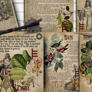 May include: A collection of vintage-style illustrations featuring trees, animals, and text. The illustrations are in a rustic style with a brown background and red accents. The text includes the words "Tree Lore", "Healing", and "Ogham of the Trees".