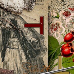 Puede incluir: Ilustraci&oacute;n bot&aacute;nica vintage de una planta de espino blanco con flores blancas y bayas rojas. El texto dice "El espino blanco es conocido como una hierba funcional para el coraz&oacute;n".