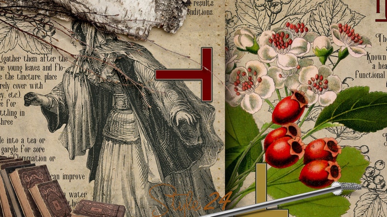 Puede incluir: Ilustraci&oacute;n bot&aacute;nica vintage de una planta de espino blanco con flores blancas y bayas rojas. El texto dice "El espino blanco es conocido como una hierba funcional para el coraz&oacute;n".