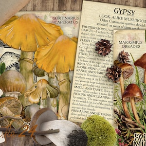 Vol 2 Edible Mushrooms Index, Double Sided Scrapbook Ephemera 3x4 Journaling Cards, Digital Collage, printable, Fungi, mycology, fungus, DIY image 8