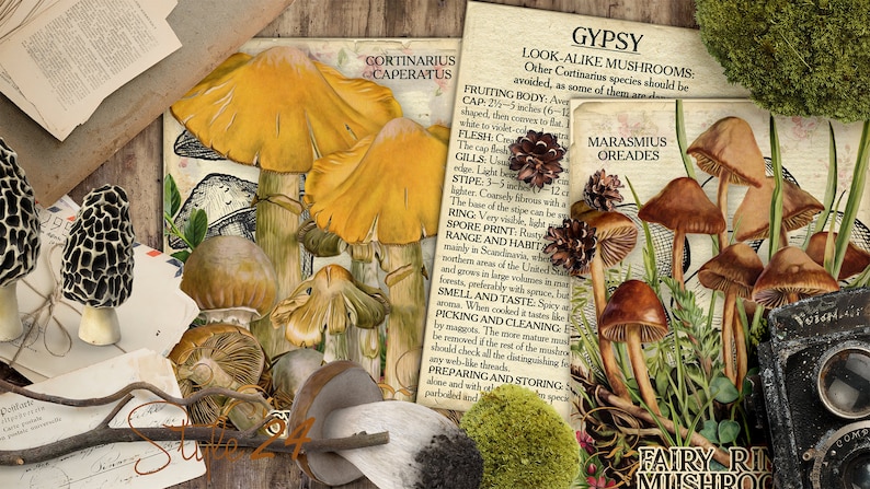 Vol 2 Edible Mushrooms Index, Double Sided Scrapbook Ephemera 3x4 Journaling Cards, Digital Collage, printable, Fungi, mycology, fungus, DIY image 8