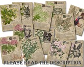 Grimoire Herbal Pages No.6, Witchcraft, Printable Book of Shadows, BOS, Digital Download of Plants, Spell Ingredient, Green Witch