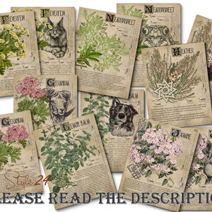 Grimoire Herbal Pages No.6, Witchcraft, Printable Book of Shadows, BOS, Digital Download of Plants, Spell Ingredient, Green Witch