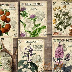 Vol 5 Herbal Index, Double Sided Scrapbook Ephemera 3x4 Journaling Cards, Digital Collage,printable Apothecary, Medicinal Herbal, Herbarium image 4