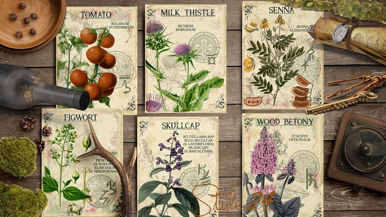Vol 5 Herbal Index, Double Sided Scrapbook Ephemera 3x4 Journaling Cards, Digital Collage,printable Apothecary, Medicinal Herbal, Herbarium image 4