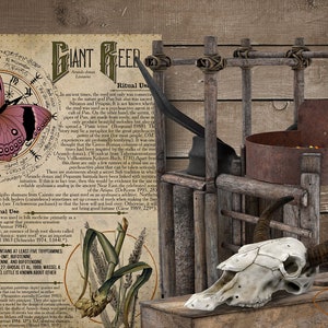 May include: A vintage, illustrated page with the text "Giant Reefer" and a drawing of a butterfly, corn, and a skull. A wooden contraption with a rusty metal bowl and a cow skull sits on a wooden surface. A small bottle with a label that reads "Elisbane" is in the foreground.