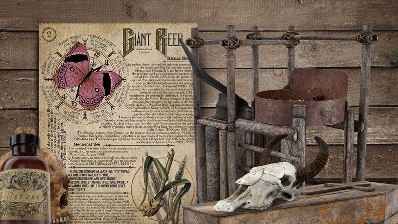 May include: A vintage, illustrated page with the text "Giant Reefer" and a drawing of a butterfly, corn, and a skull. A wooden contraption with a rusty metal bowl and a cow skull sits on a wooden surface. A small bottle with a label that reads "Elisbane" is in the foreground.